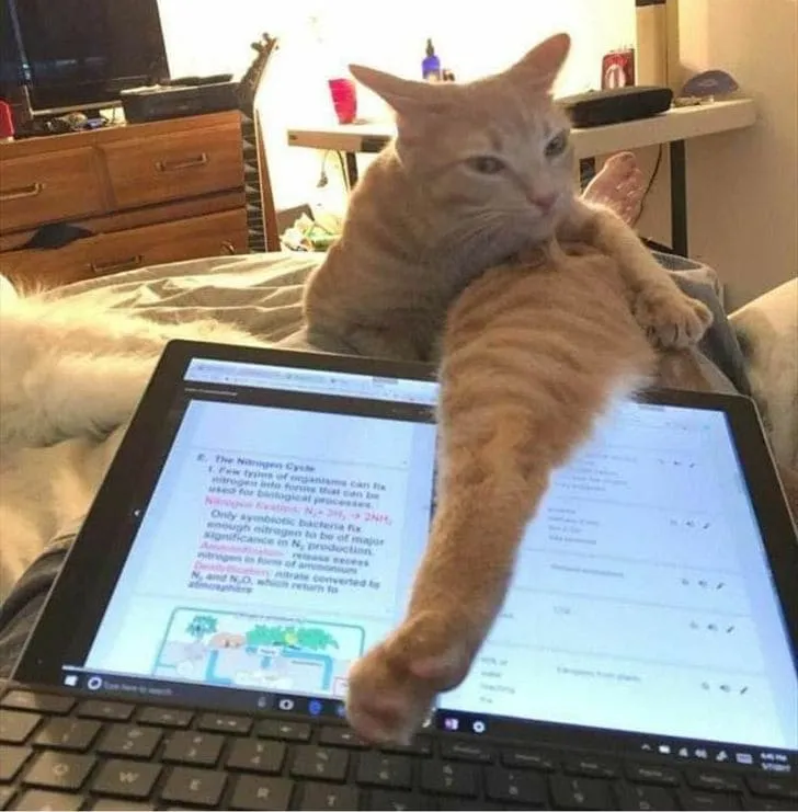 «Хватит работать».