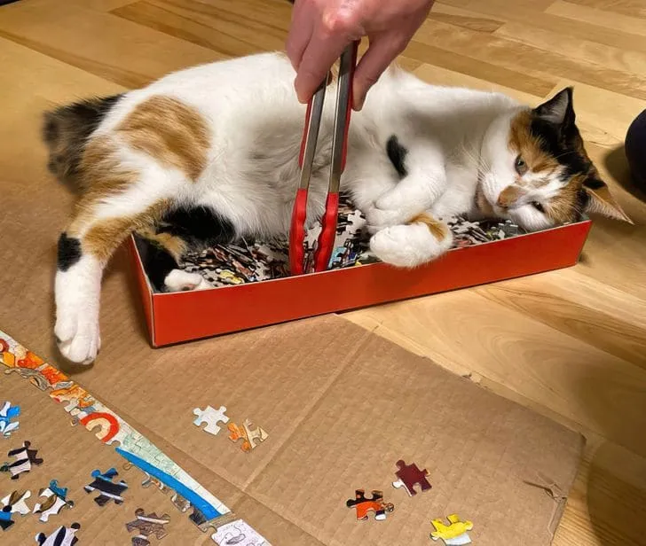 «Нет, это мои игрушки, не трогай».