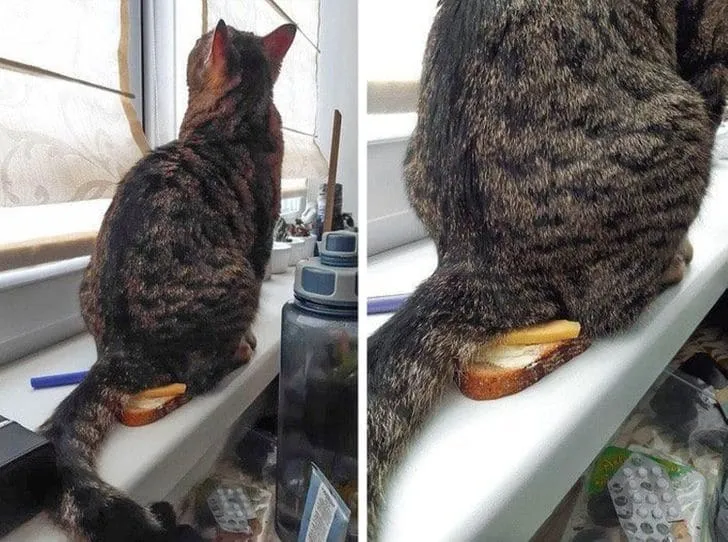 «То, чего не хватало моему завтраку».