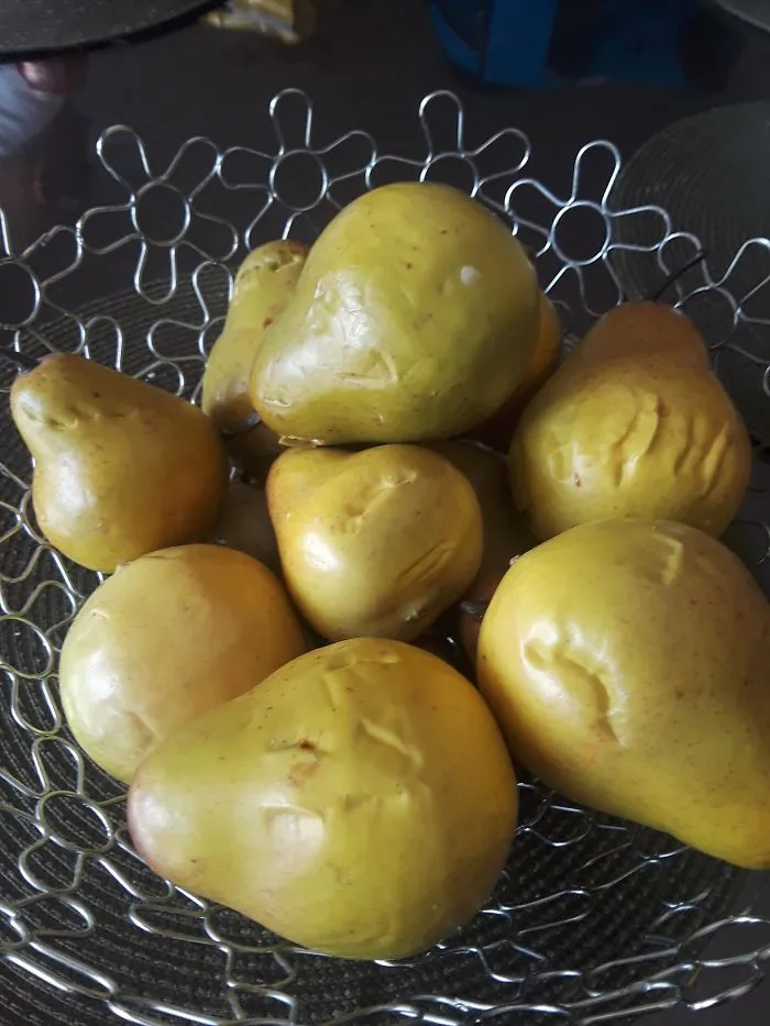 В аренде, в которой я остановился, миска с искусственными фруктами заставила многих людей очень проголодаться. 