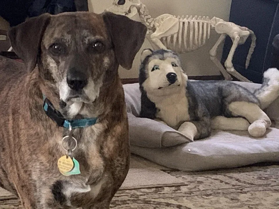 «Думаю, что она была не очень рада этой шутке».