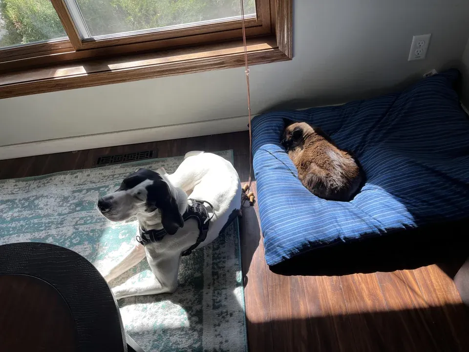 «По крайней мере, они оба получают немного солнца».