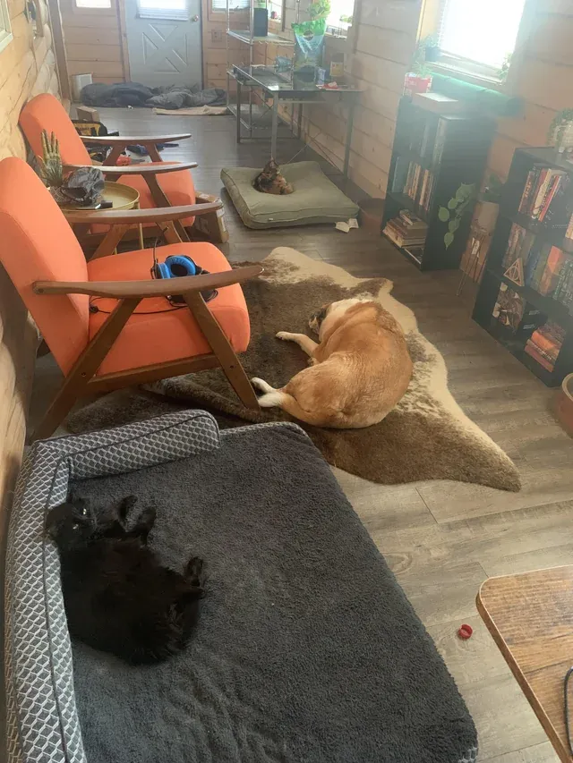 «Дважды обманут».