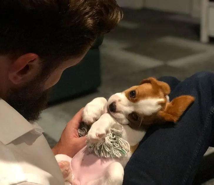 Это выражение «лица» говорит само за себя. 