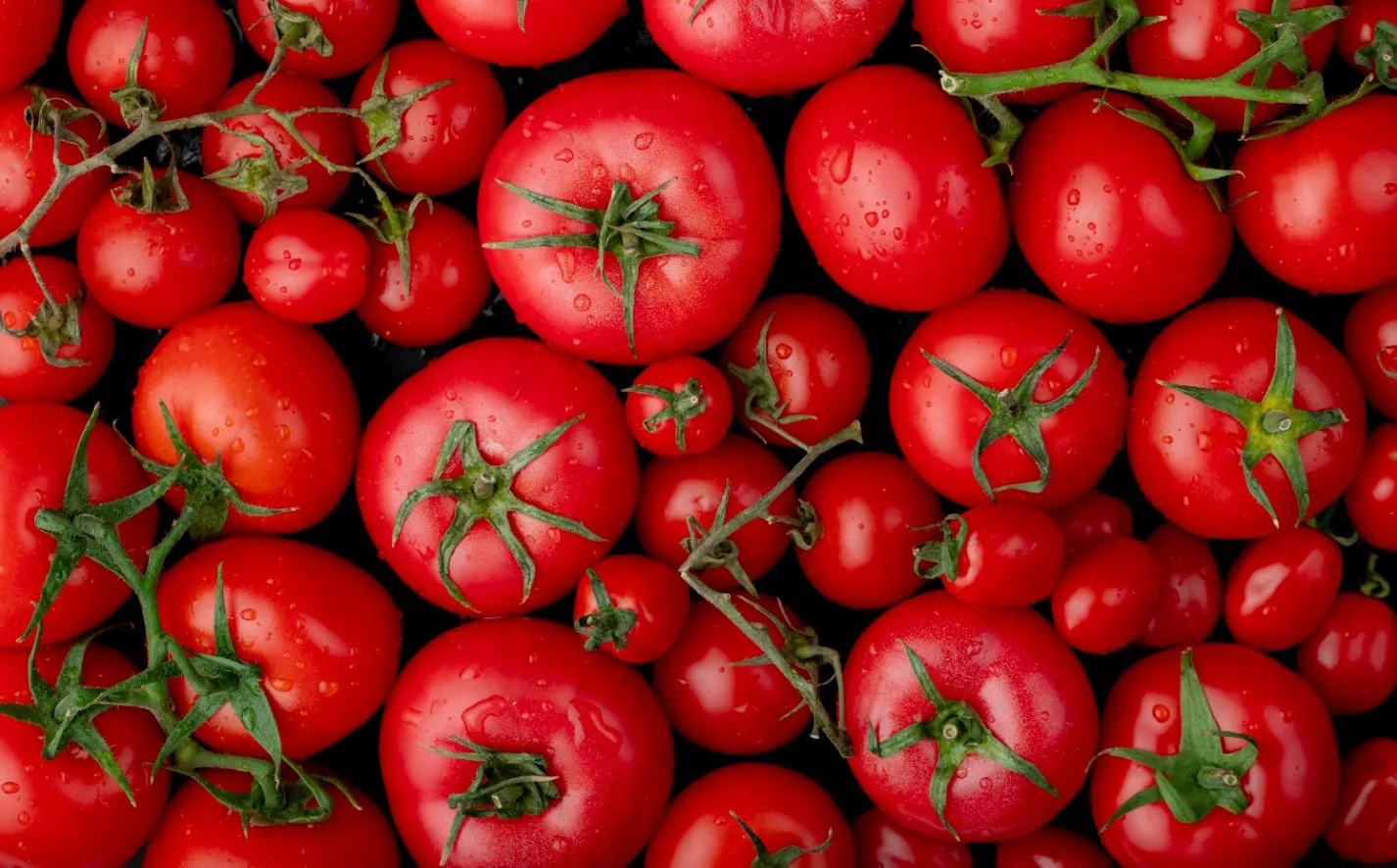 Помидоры.
