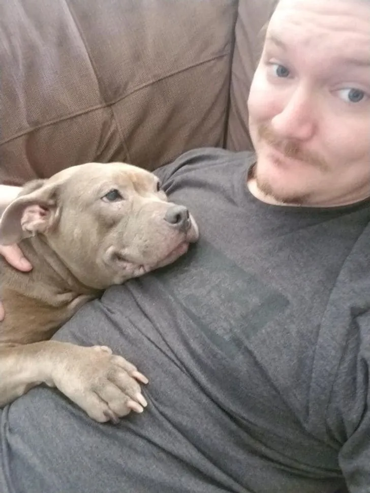 Найдите себе кого-нибудь, кто обожает вас так же сильно, как эта собака обожает своего хозяина.