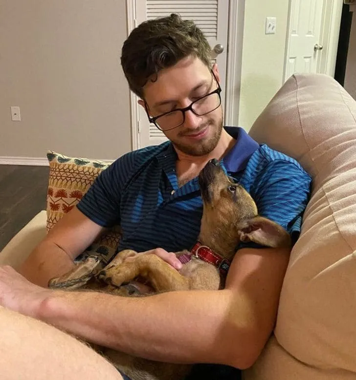 «Моя собака Стелла просто обожает моего парня».