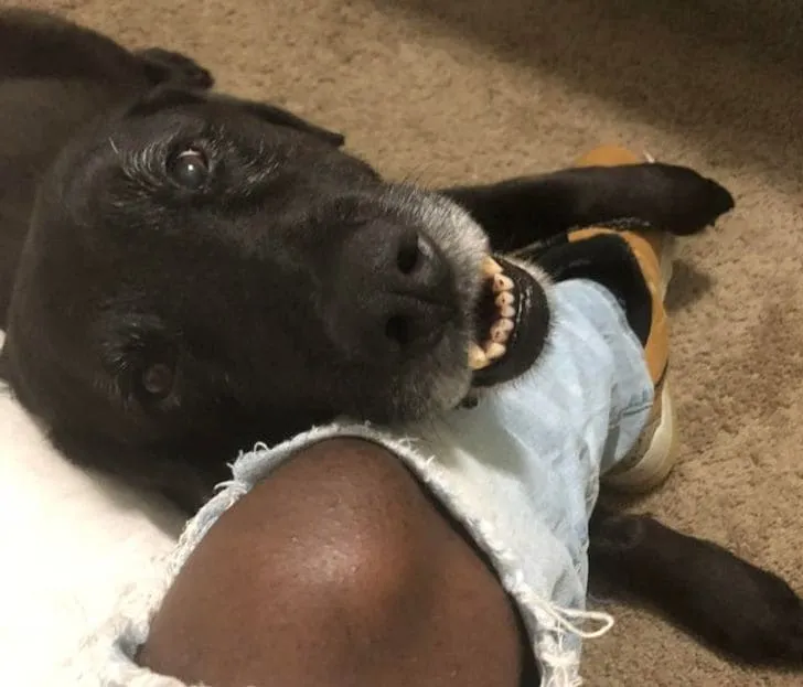 «Вот как этот старичок всегда смотрит на меня».