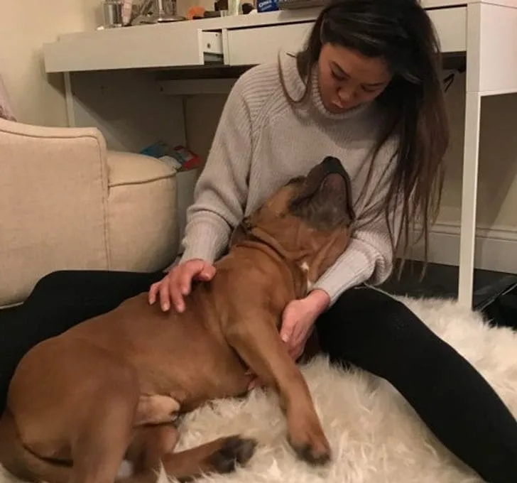 «Да, пожалуйста, продолжай меня гладить».