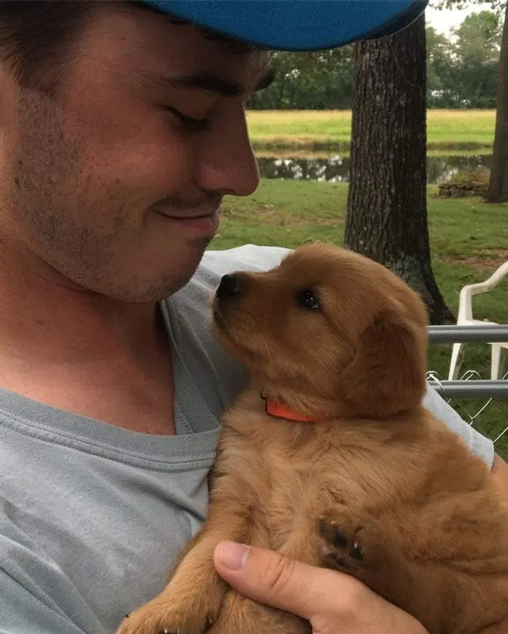 Это любовь с первого взгляда.