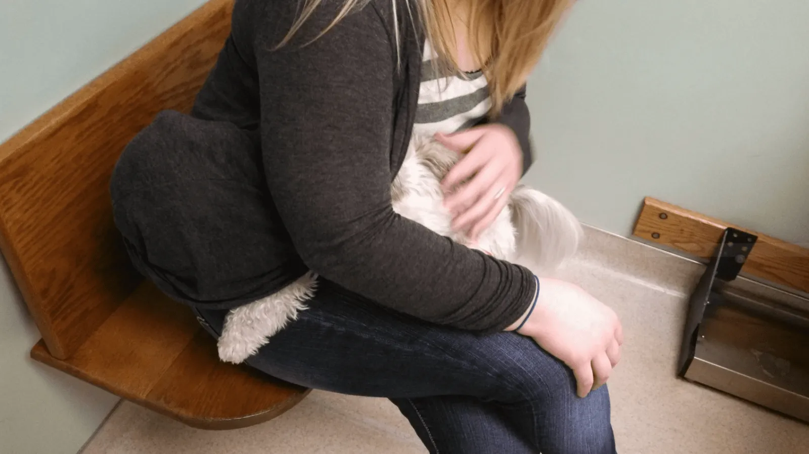 «Так ветеринары точно меня не найдут».