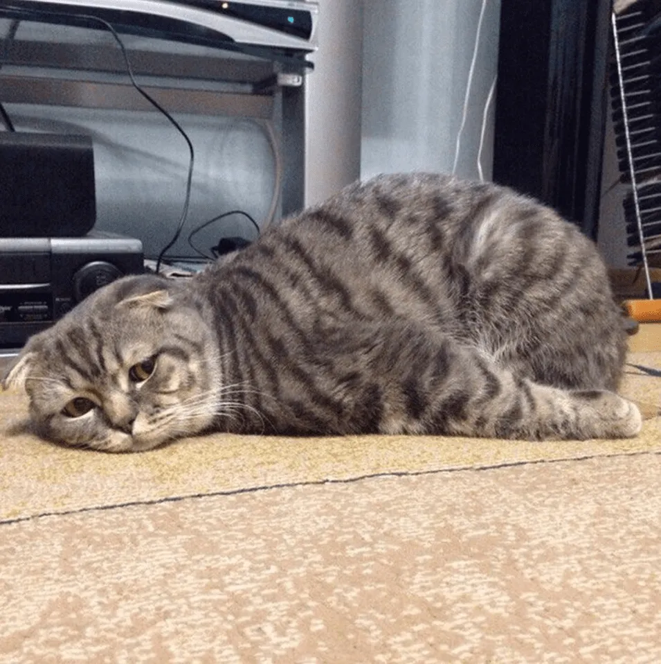 «Нет, только не прививки».