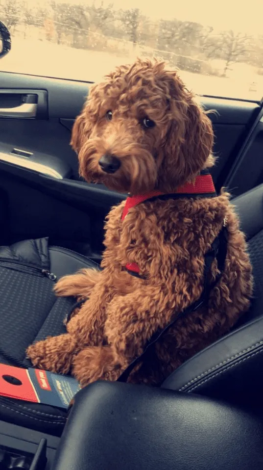 «Пап, ну давай не пойдем к врачу».