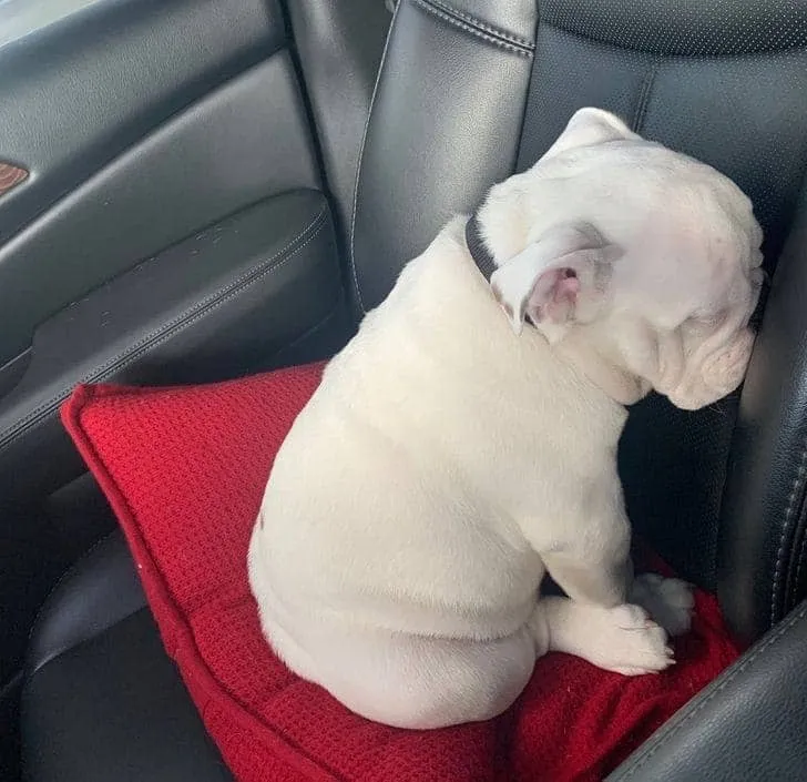 «Я больше с тобой не разговариваю».