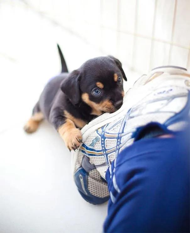 Жестокое нападение на человека. Слабонервным не смотреть.