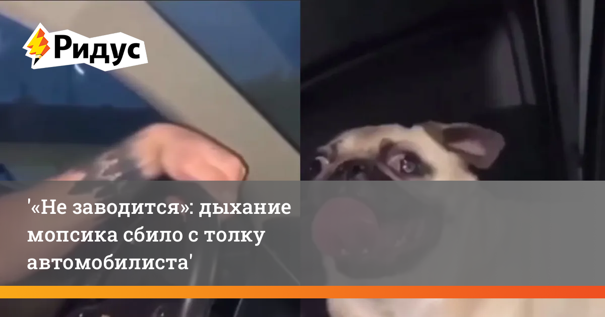 Звук заводящегося автомобиля