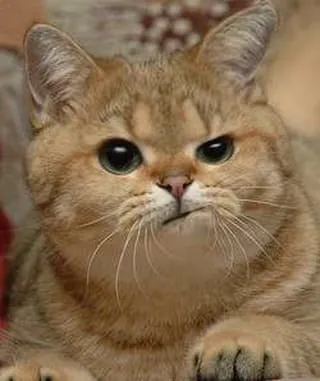 «Снова селфи? Серьезно?»