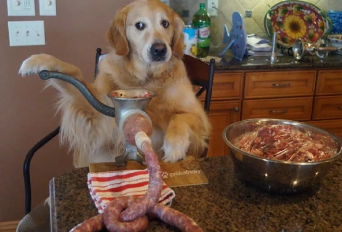 Это пугает.