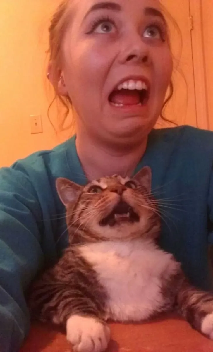«Самое эпичное селфи с котом».