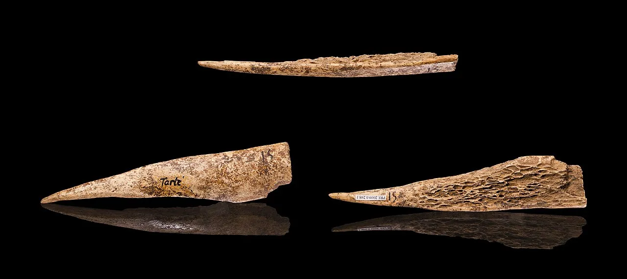 Истёртая кость из пещеры Тарте во Франции, верхний палеолит.