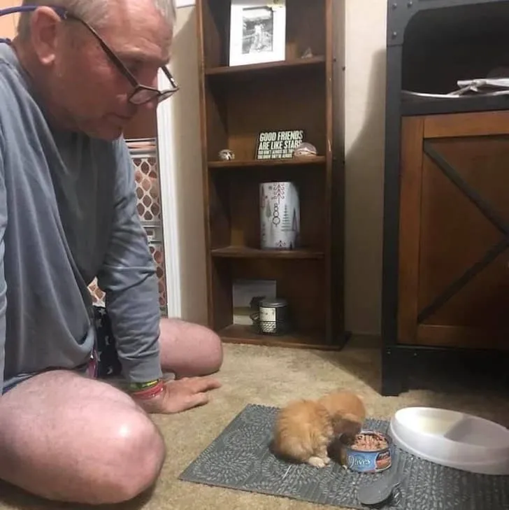 Хозяин наблюдает за первым обедом своего котенка.