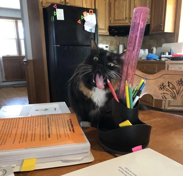 «Ребенок может порисовать чем-нибудь другим».