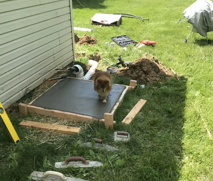 «Только что закончил заливку бетона, а мой пес проверил».