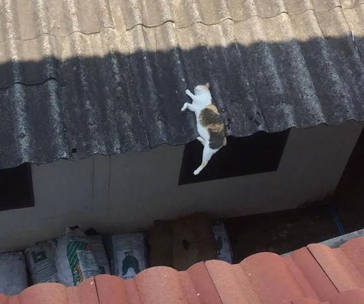 Удобненько.