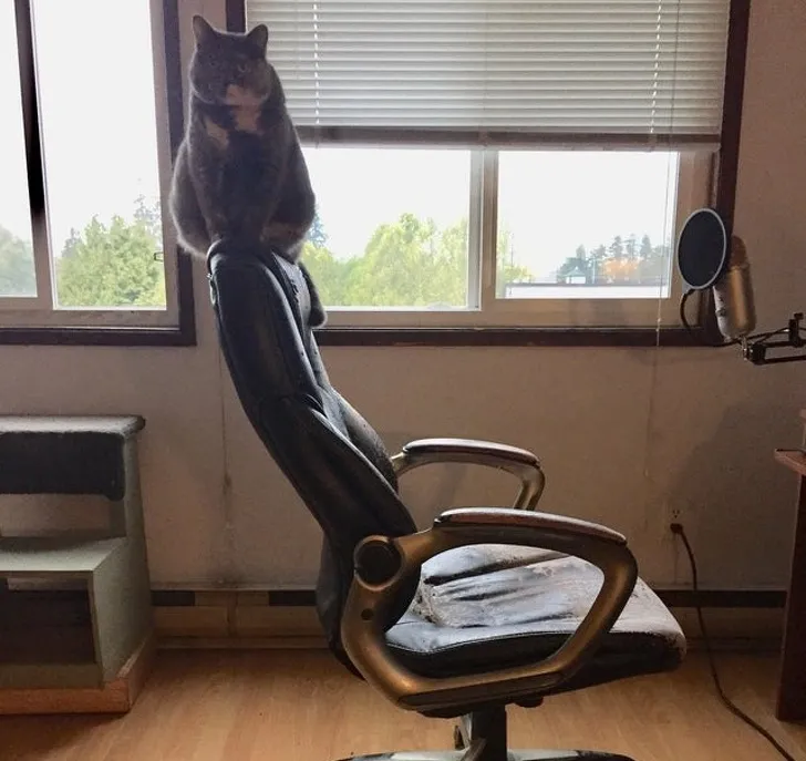 «Это Таббс, и он бросает вызов гравитации».