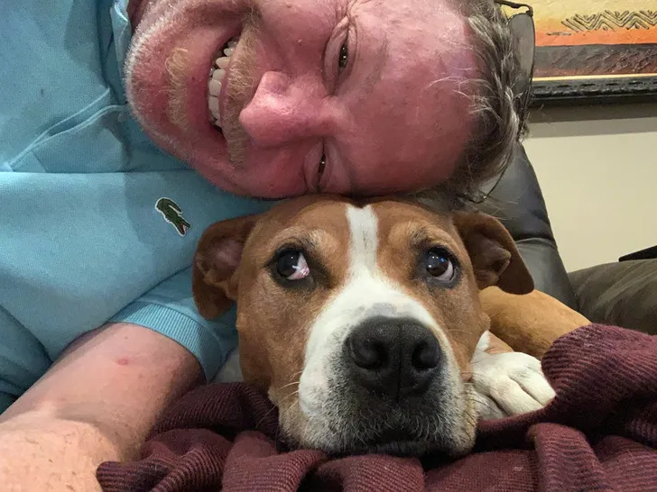 «Она думает: «Надеюсь после этого селфи будет немного морковки!»»