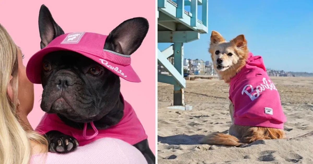 Одежда и аксессуары для собак Canada Pooch x Barbie.