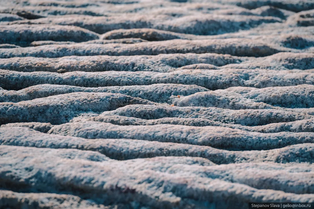 © Слава Степанов/gelio.livejournal.com