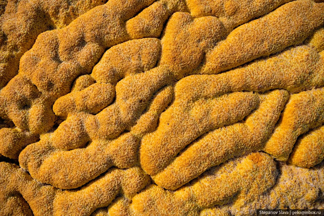 © Слава Степанов/gelio.livejournal.com