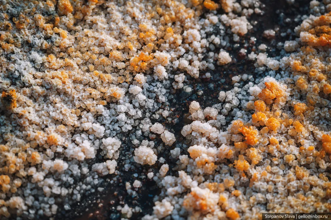 © Слава Степанов/gelio.livejournal.com