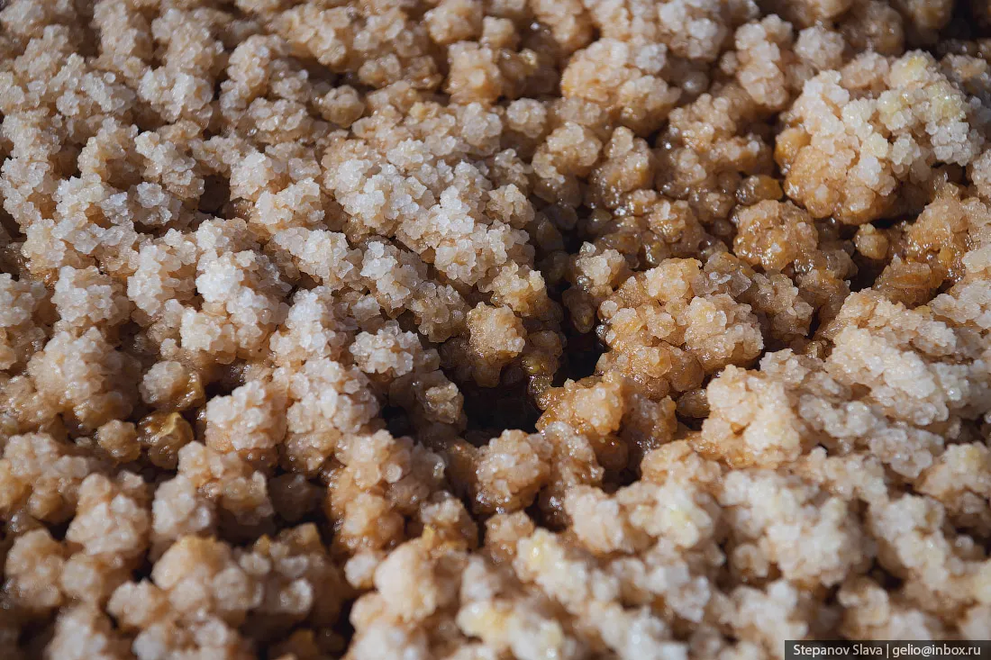 © Слава Степанов/gelio.livejournal.com