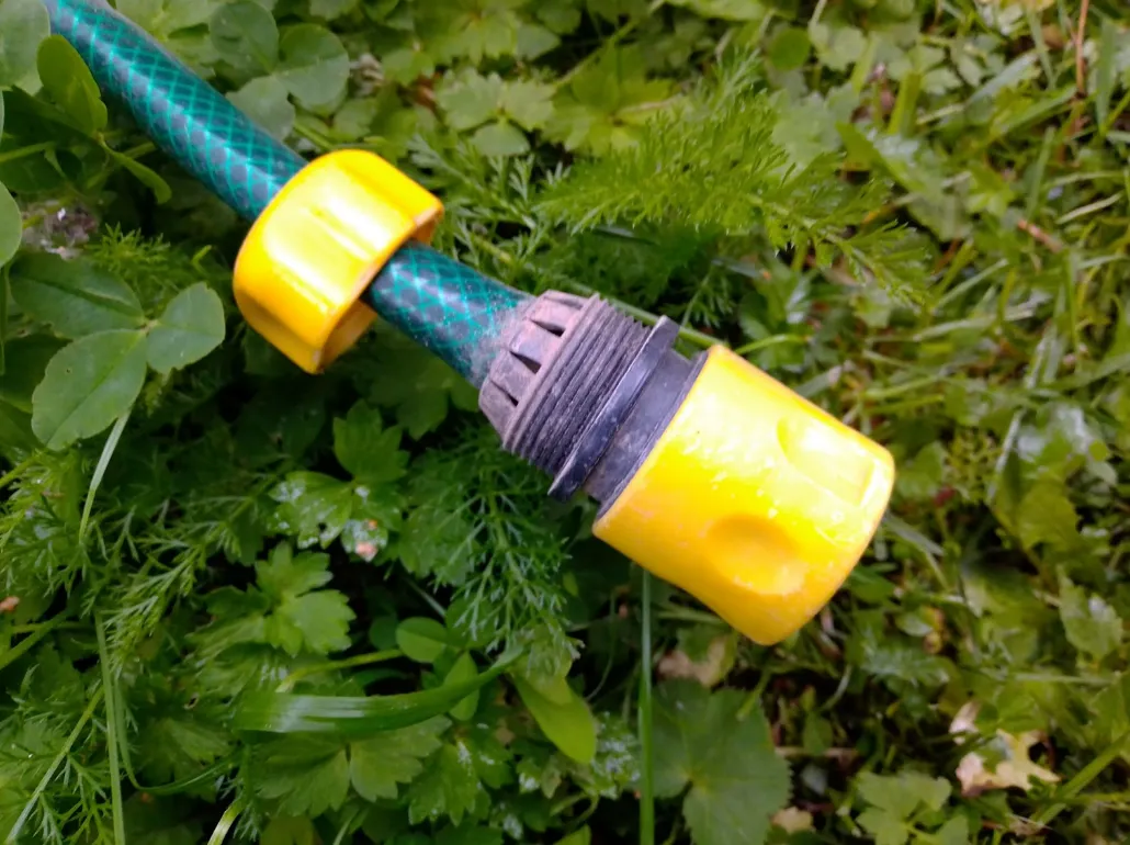 © Дмитрий Александров