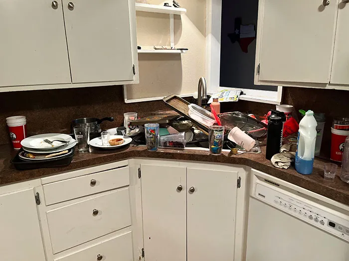 «Меня не было дома несколько дней, и никто из моей семьи не мыл посуду».