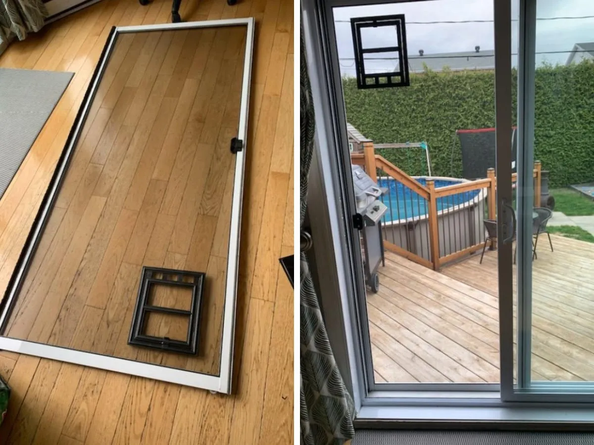 Жена установила сетку на входную дверь с дверцей для кота.