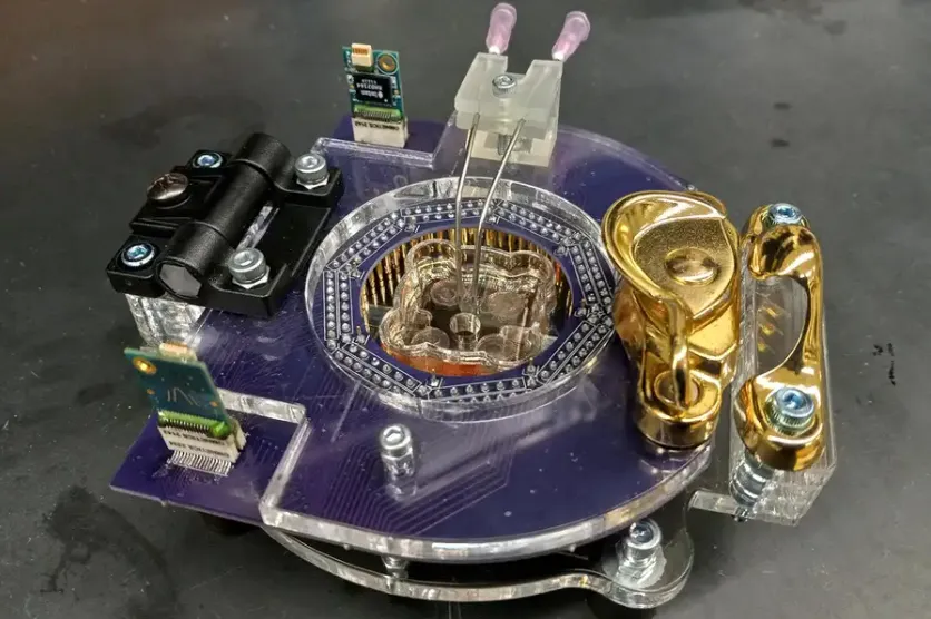 Компьютер похож на маленькую коробочку из микросхем, в центре которой находятся клетки мышиного мозга.