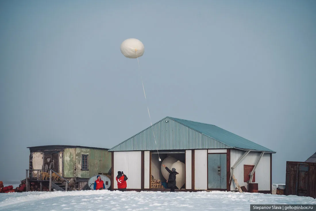 © Слава Степанов/gelio.livejournal.com