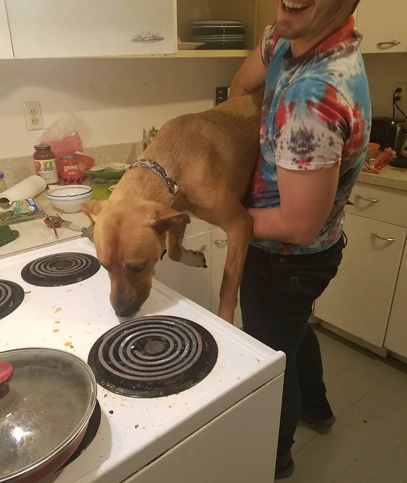 Когда поручила мужу уборку на кухне.