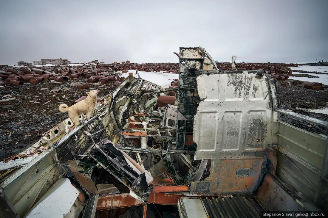 © Слава Степанов/gelio.livejournal.com