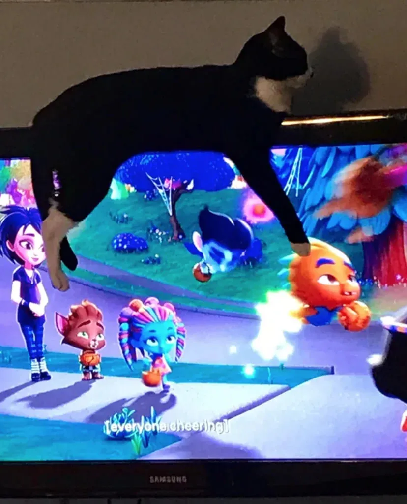 «Человек, лучше смотри на меня».