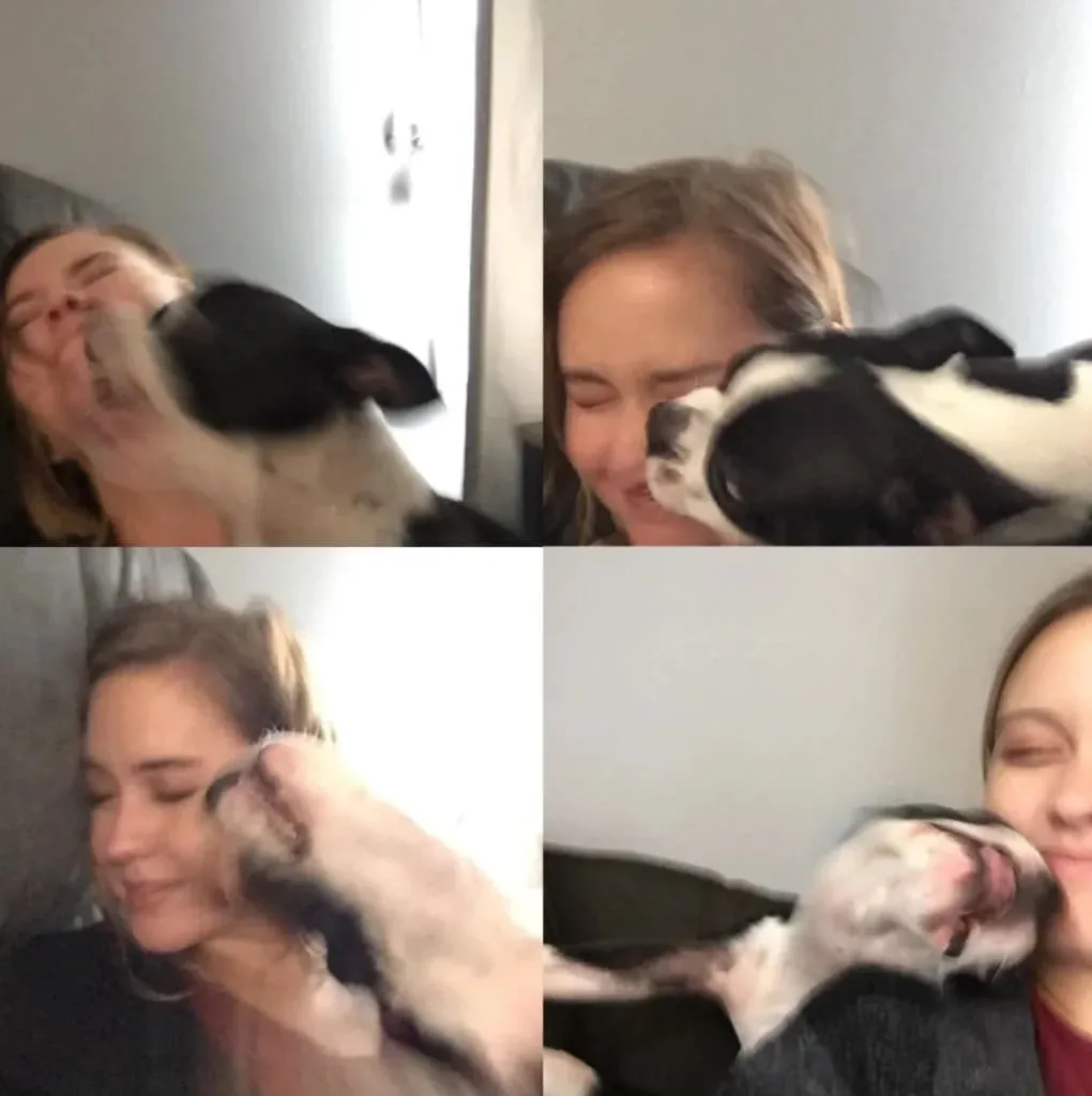 Иногда селфи с пёсиком — не лучшая идея.