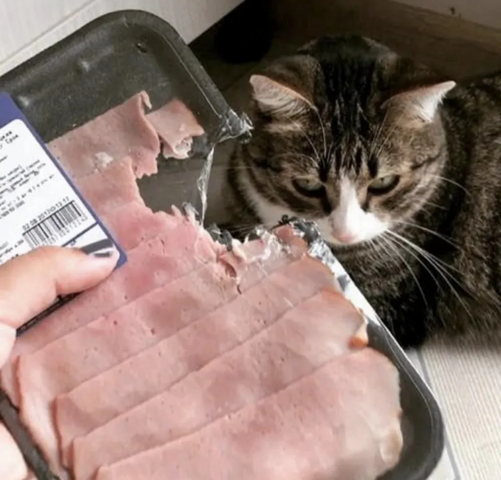 Снял пробу.