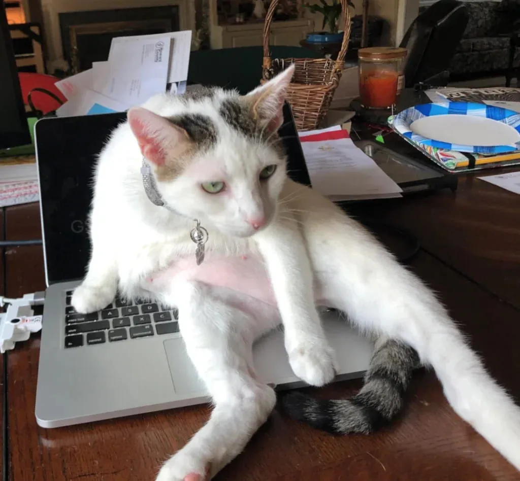 «Ему надоело, что я все время работаю».