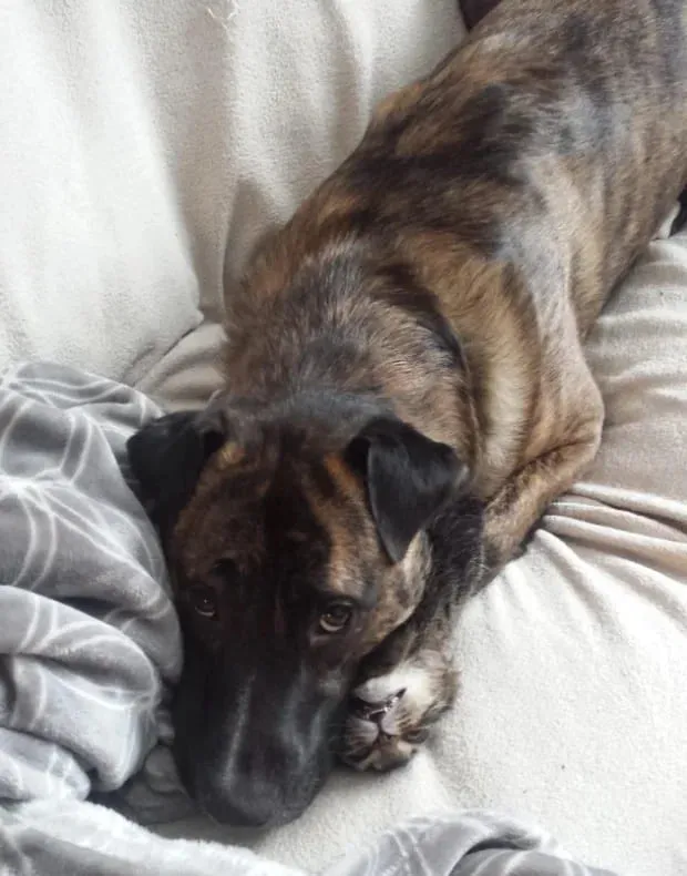 Какие невинные глаза.