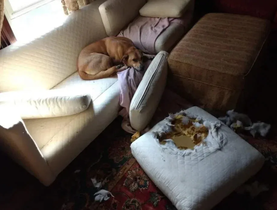 «Пап, подушка напала на меня».