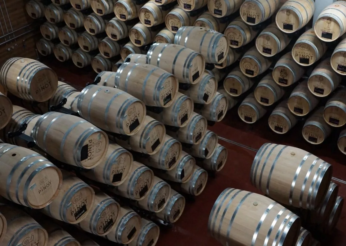 Винодельня Шато Пино