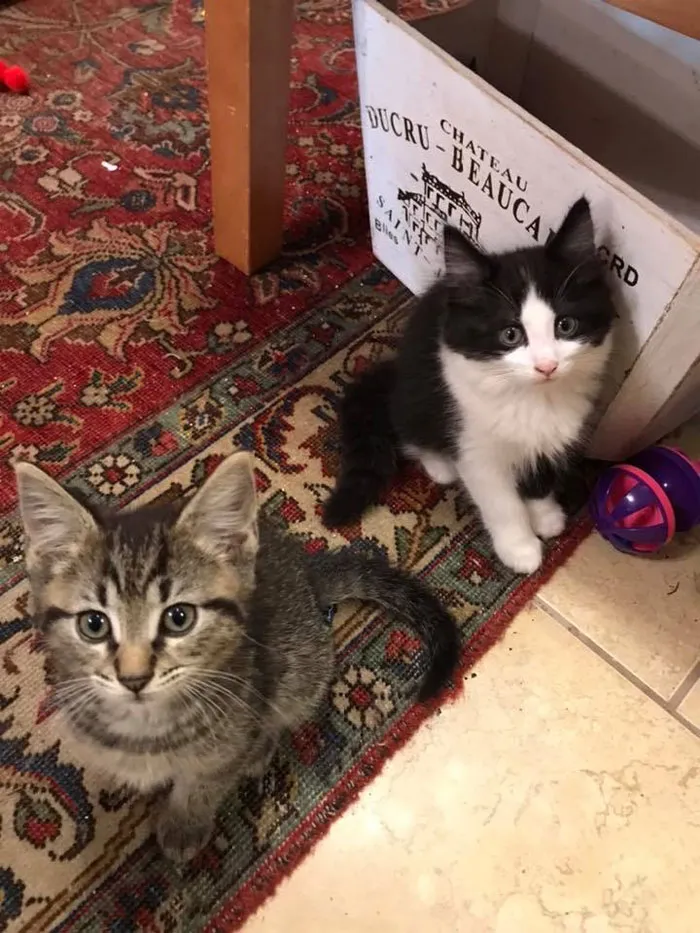 Эта плата покрывает все, включая любые медицинские расходы.